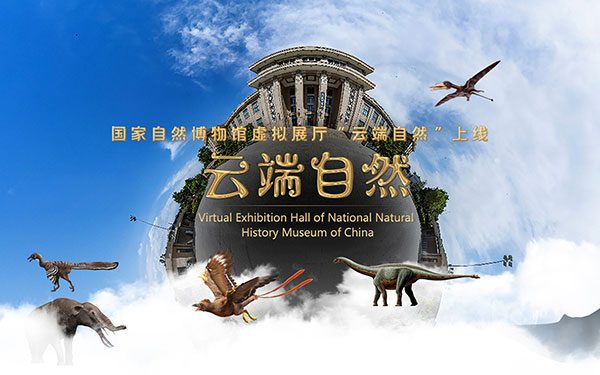 數(shù)字化博物館虛擬展廳設(shè)計(jì)